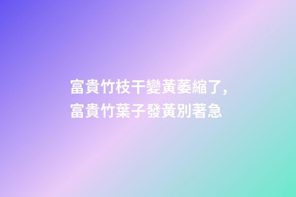 富貴竹枝干變黃萎縮了,富貴竹葉子發黃別著急-第1張-觀點-玄機派
