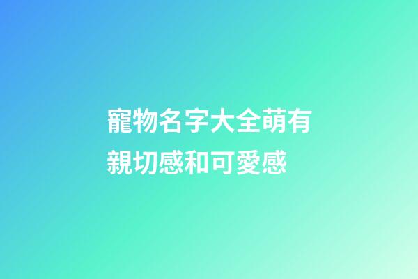 寵物名字大全萌有親切感和可愛感