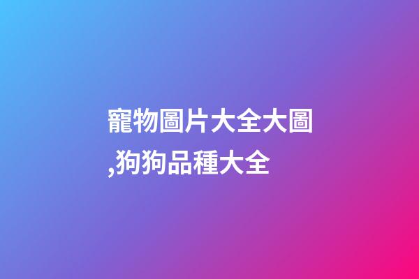 寵物圖片大全大圖,狗狗品種大全(帶圖片)-第1張-觀點(diǎn)-玄機(jī)派