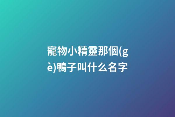 寵物小精靈那個(gè)鴨子叫什么名字