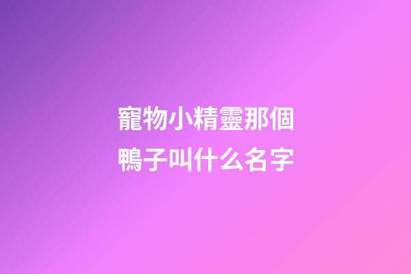 寵物小精靈那個鴨子叫什么名字