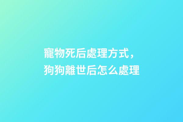 寵物死后處理方式，狗狗離世后怎么處理-第1張-觀點-玄機(jī)派