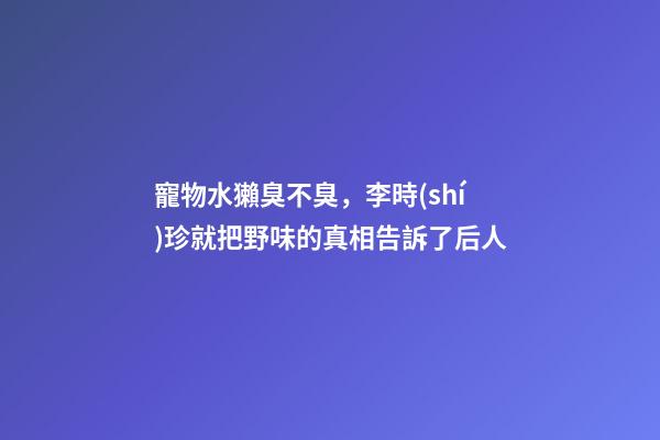 寵物水獺臭不臭，李時(shí)珍就把野味的真相告訴了后人-第1張-觀點(diǎn)-玄機(jī)派
