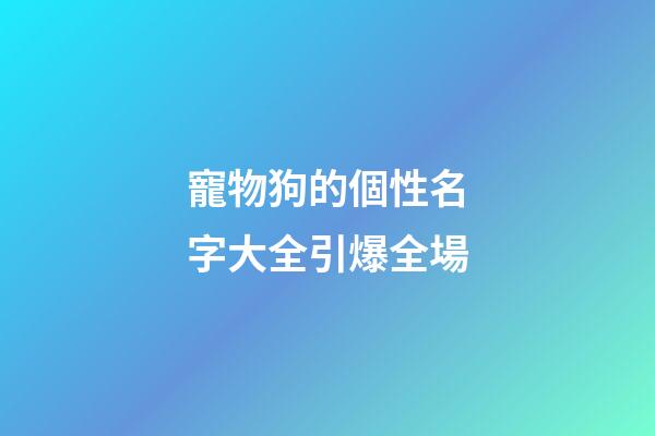 寵物狗的個性名字大全引爆全場