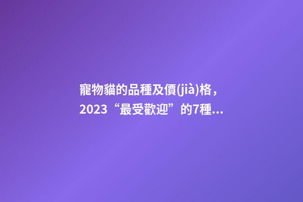 寵物貓的品種及價(jià)格，2023“最受歡迎”的7種貓-第1張-觀點(diǎn)-玄機(jī)派