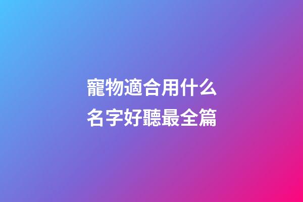寵物適合用什么名字好聽最全篇