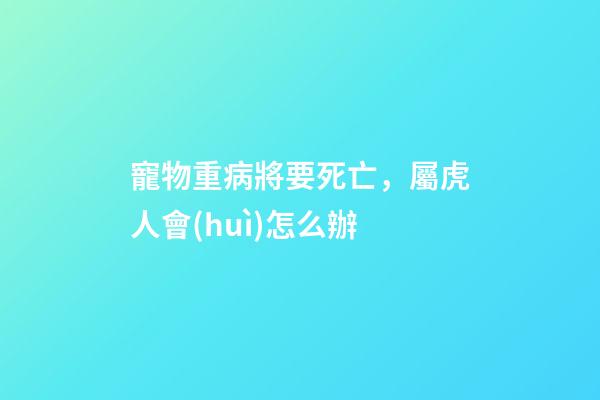 寵物重病將要死亡，屬虎人會(huì)怎么辦