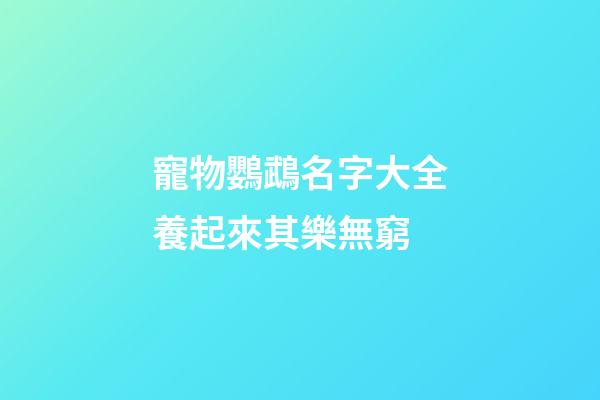 寵物鸚鵡名字大全養起來其樂無窮