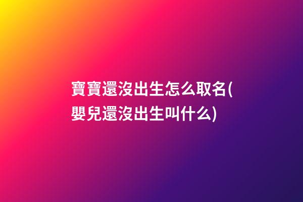寶寶還沒出生怎么取名(嬰兒還沒出生叫什么)