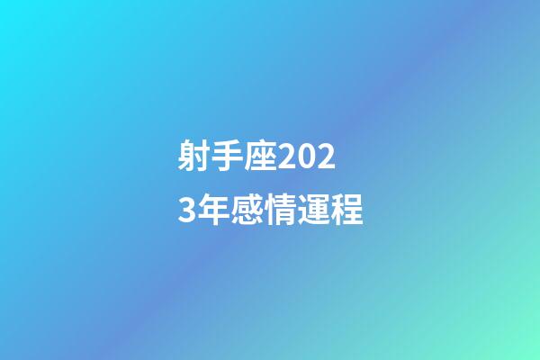 射手座2023年感情運程-第1張-星座運勢-玄機派