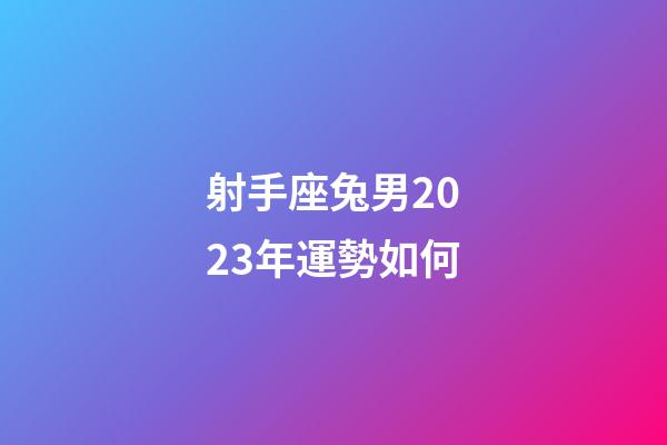 射手座兔男2023年運勢如何-第1張-星座運勢-玄機派