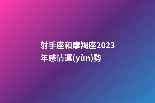 射手座和摩羯座2023年感情運(yùn)勢-第1張-星座運(yùn)勢-玄機(jī)派