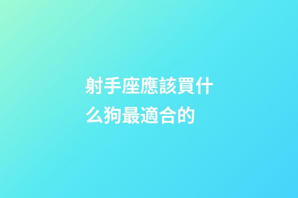 射手座應該買什么狗最適合的-第1張-星座運勢-玄機派