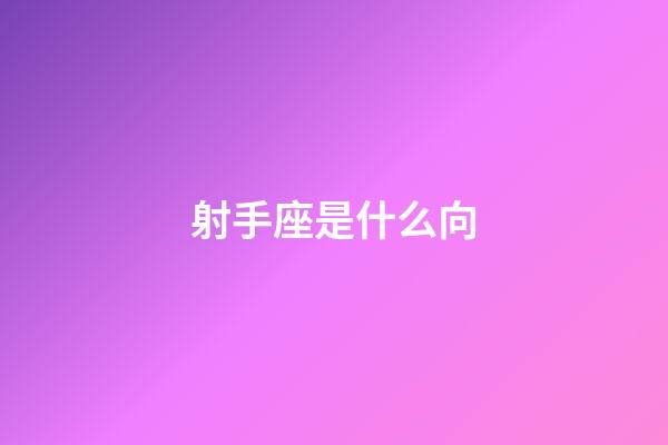 射手座是什么向