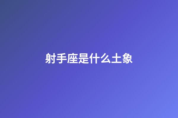 射手座是什么土象-第1張-星座運勢-玄機派