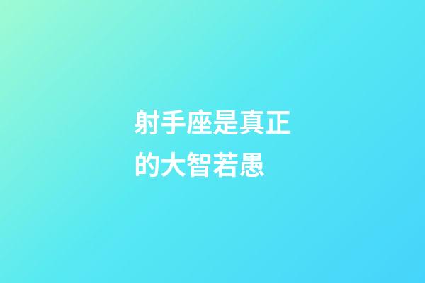射手座是真正的大智若愚-第1張-星座運勢-玄機派