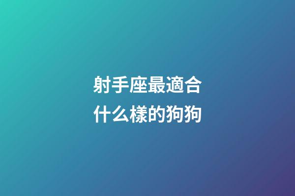 射手座最適合什么樣的狗狗-第1張-星座運勢-玄機派