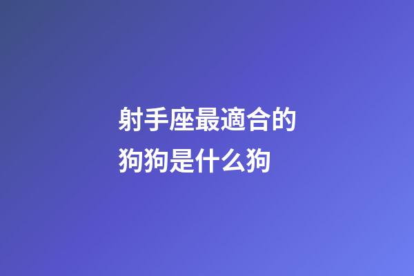 射手座最適合的狗狗是什么狗-第1張-星座運勢-玄機派