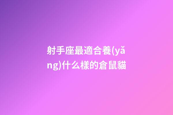 射手座最適合養(yǎng)什么樣的倉鼠貓-第1張-星座運勢-玄機派