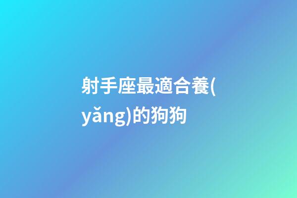 射手座最適合養(yǎng)的狗狗-第1張-星座運勢-玄機派
