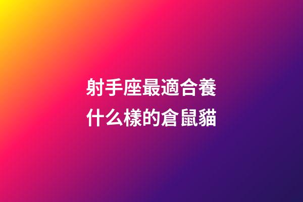 射手座最適合養什么樣的倉鼠貓