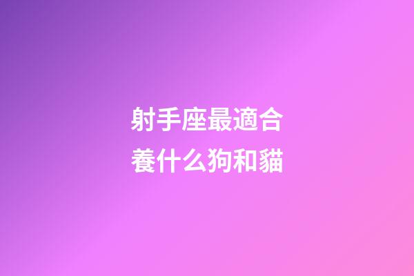 射手座最適合養什么狗和貓-第1張-星座運勢-玄機派