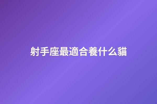 射手座最適合養什么貓-第1張-星座運勢-玄機派