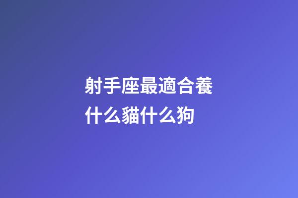 射手座最適合養什么貓什么狗-第1張-星座運勢-玄機派