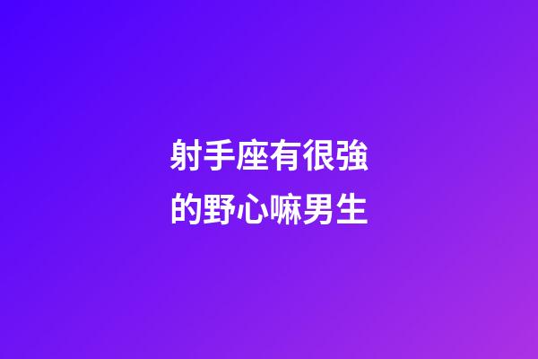 射手座有很強的野心嘛男生-第1張-星座運勢-玄機派