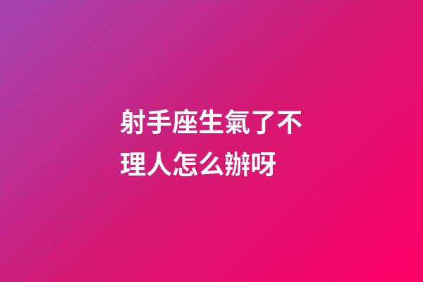 射手座生氣了不理人怎么辦呀-第1張-星座運勢-玄機派