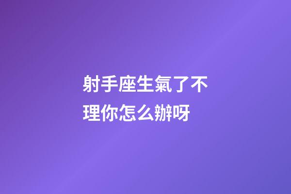 射手座生氣了不理你怎么辦呀-第1張-星座運勢-玄機派