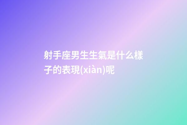 射手座男生生氣是什么樣子的表現(xiàn)呢-第1張-星座運勢-玄機派