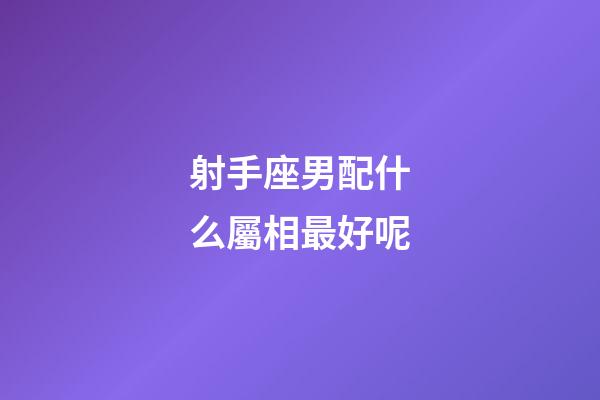 射手座男配什么屬相最好呢-第1張-星座運勢-玄機派