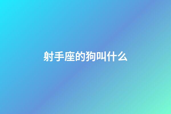 射手座的狗叫什么-第1張-星座運勢-玄機派
