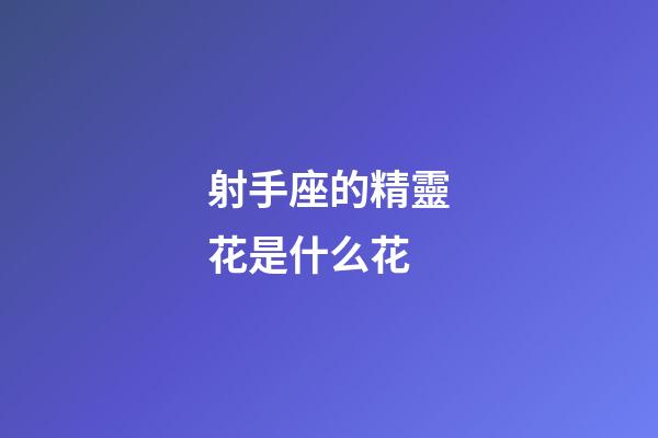 射手座的精靈花是什么花-第1張-星座運勢-玄機派