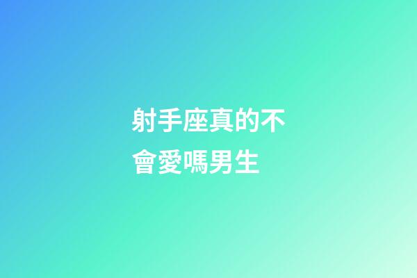 射手座真的不會愛嗎男生-第1張-星座運勢-玄機派