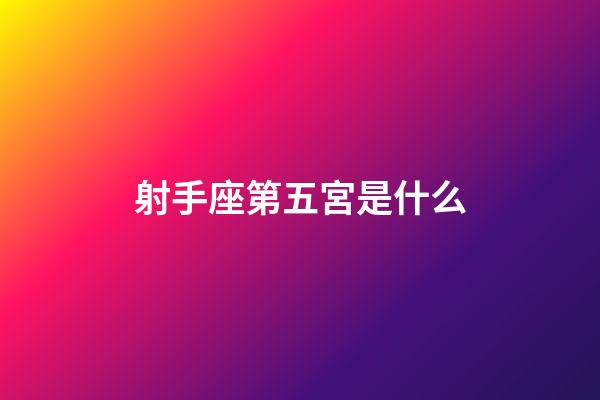 射手座第五宮是什么-第1張-星座運勢-玄機派