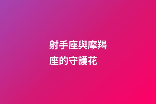 射手座與摩羯座的守護花-第1張-星座運勢-玄機派