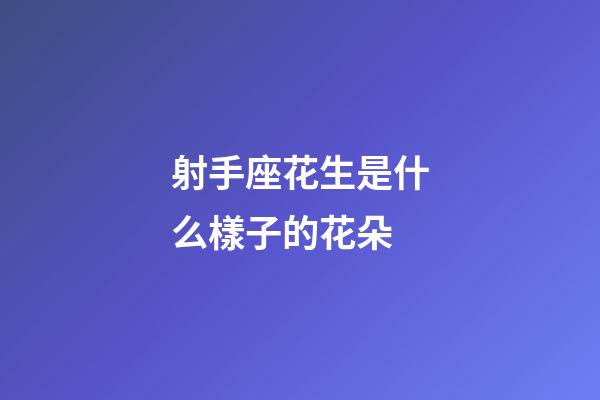 射手座花生是什么樣子的花朵-第1張-星座運勢-玄機派