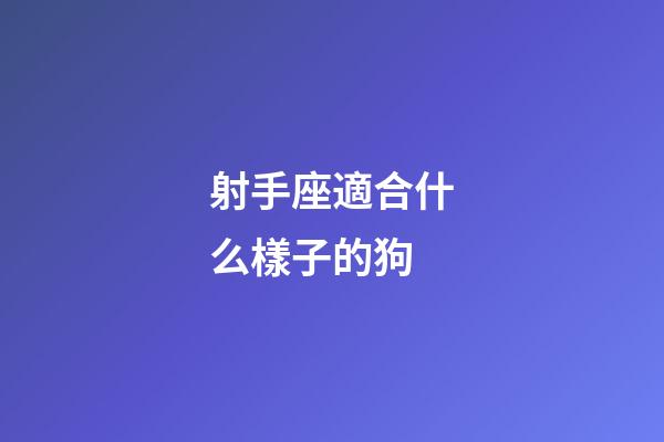 射手座適合什么樣子的狗-第1張-星座運勢-玄機派