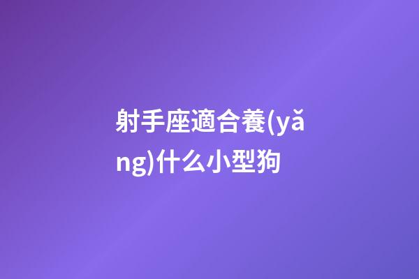 射手座適合養(yǎng)什么小型狗