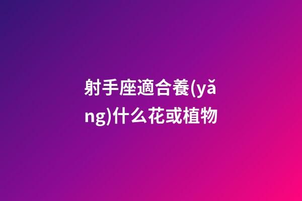 射手座適合養(yǎng)什么花或植物