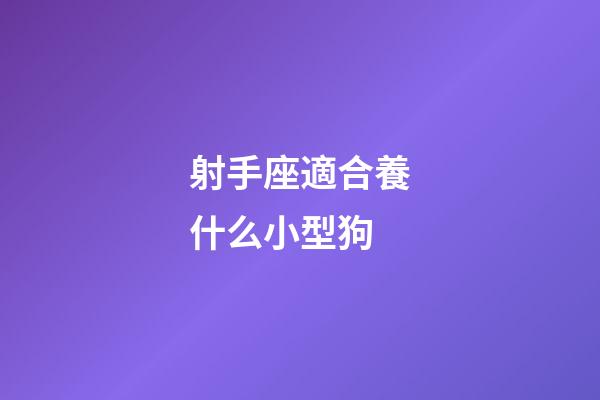 射手座適合養什么小型狗-第1張-星座運勢-玄機派