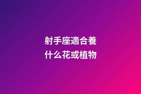 射手座適合養什么花或植物-第1張-星座運勢-玄機派