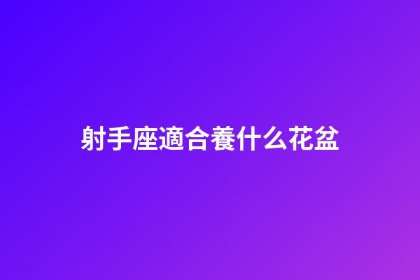 射手座適合養什么花盆