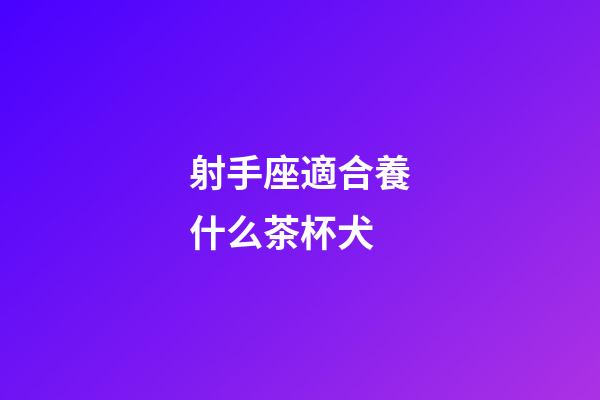 射手座適合養什么茶杯犬-第1張-星座運勢-玄機派