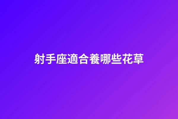 射手座適合養哪些花草-第1張-星座運勢-玄機派