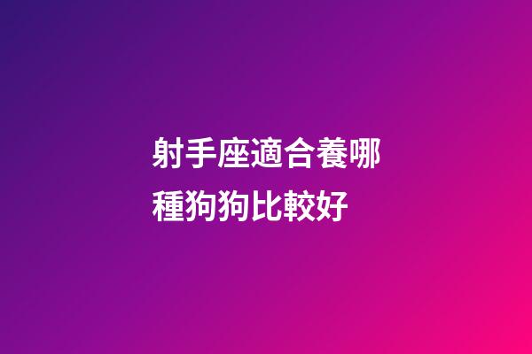 射手座適合養哪種狗狗比較好-第1張-星座運勢-玄機派