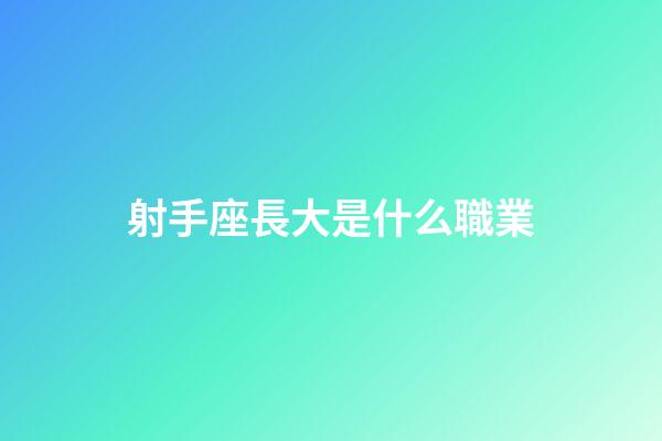 射手座長大是什么職業-第1張-星座運勢-玄機派
