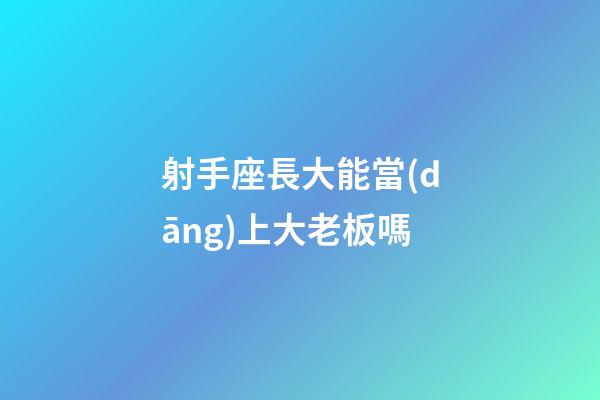 射手座長大能當(dāng)上大老板嗎